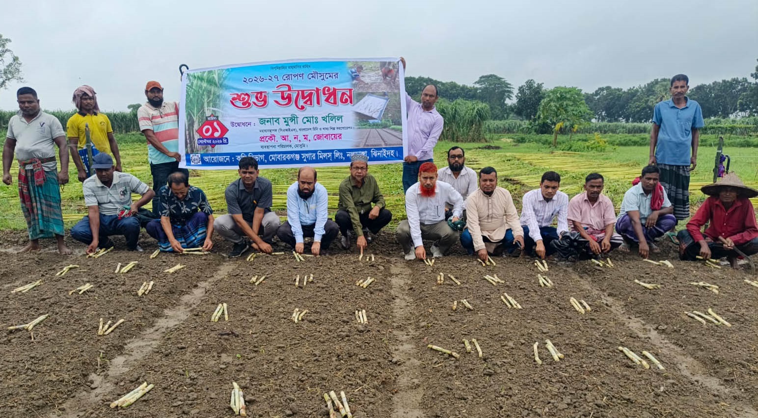 আখের মূল্য বৃদ্ধি, বাড়ছে আখচাষ মোবারকগঞ্জ চিনিকলের অধিনে রোপন মৌসুমের উদ্বোধন