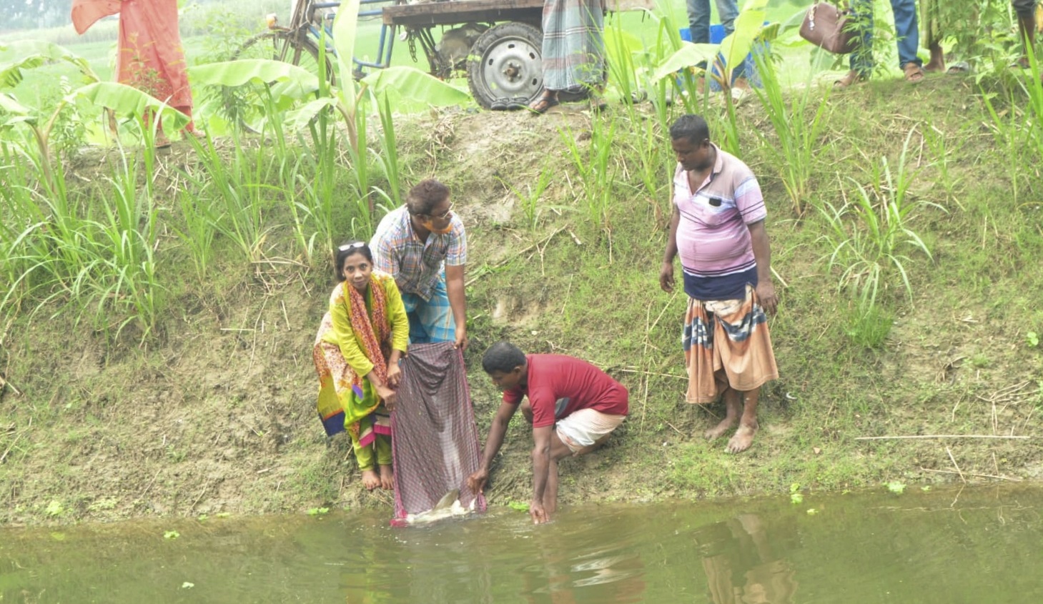 নাটোরের যামিনী ভাদুড়ী সরকারি খালে পোনা মাছ অবমুক্ত