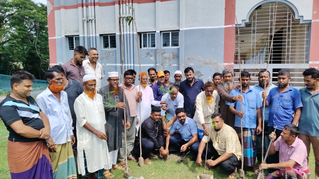 লোহাগড়ায় শ্রমিকদল নেতা হুমায়ূন কবিরের ব্যক্তিগত উদ্যোগে বৃক্ষরোপণ কর্মসূচির উদ্বোধন