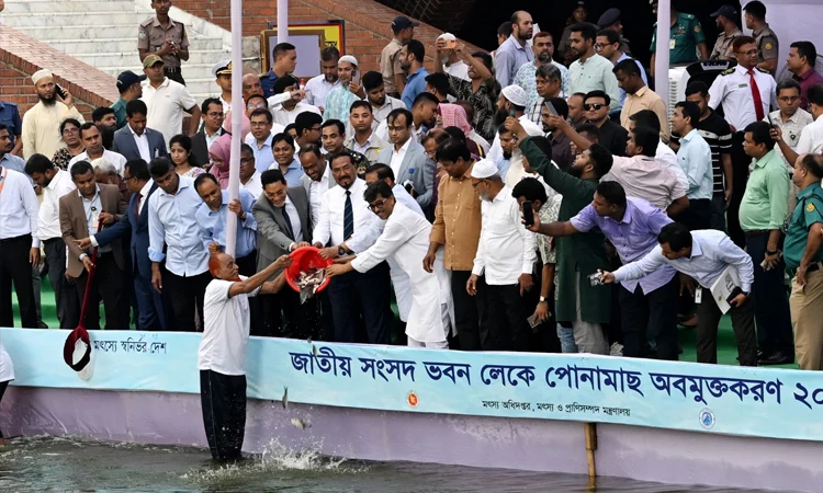 জাতীয় সংসদ ভবনের লেকে পোনা মাছ অবমুক্ত করলেন স্পিকার