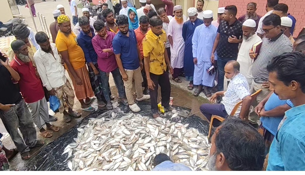 সারাদেশে মা-ইলিশসহ সব ধরনের মাছ ধরার ওপর চলছে সরকারি নিষেধাজ্ঞা