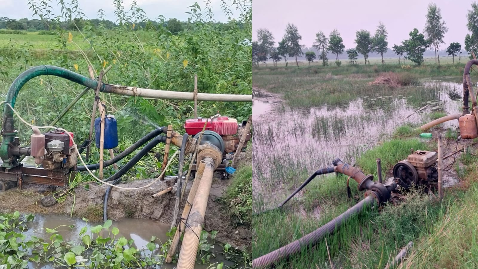 দেবিদ্বারে প্রশাসনকে বৃদ্ধাঙ্গুলি দেখিয়ে চলছে অবৈধ ড্রেজার, ধ্বংসের মুখে কৃষিজমি