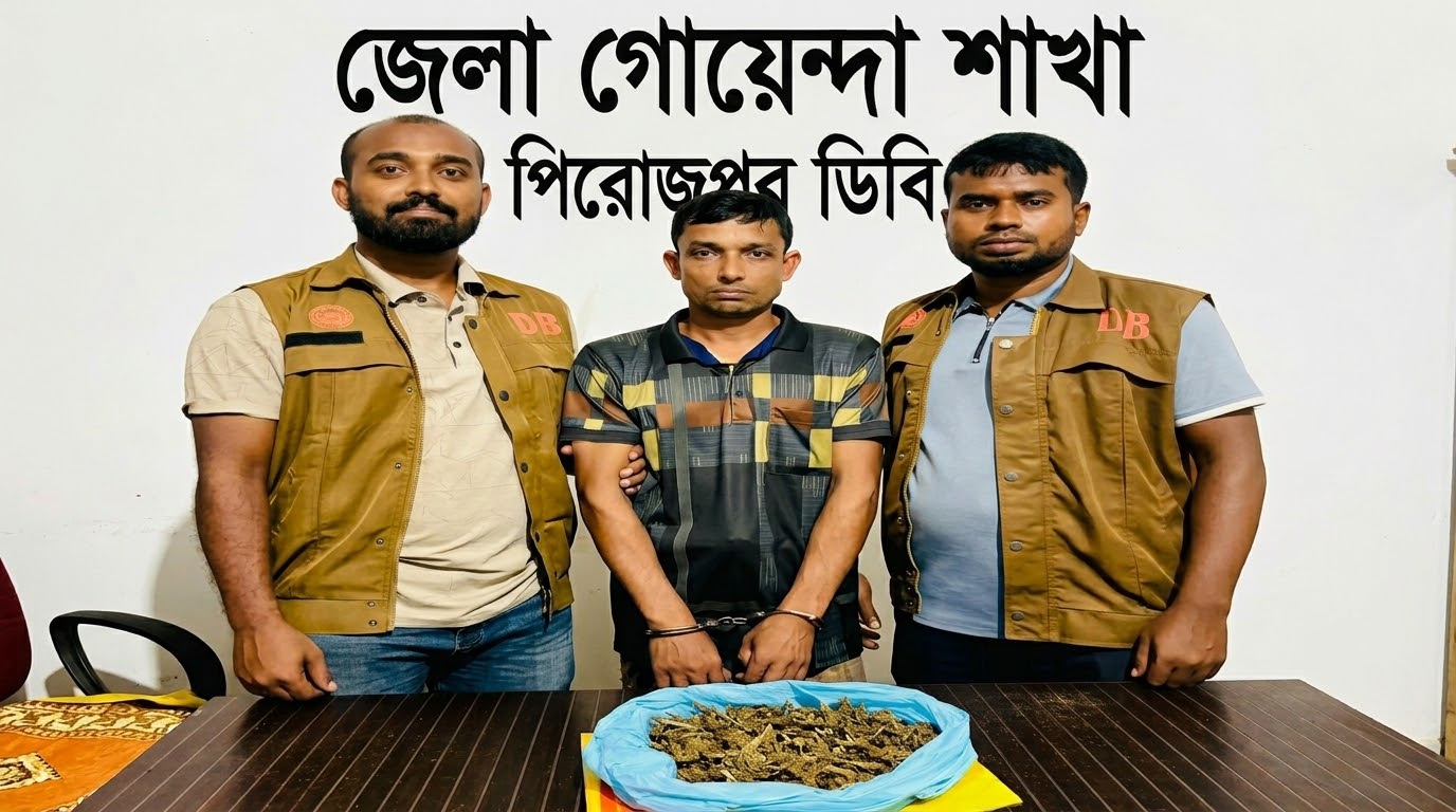 নেছারাবাদে ডিবির অভিযানে ১ কেজি গাঁজাসহ এক মাদক কারবারি গ্রেফতার