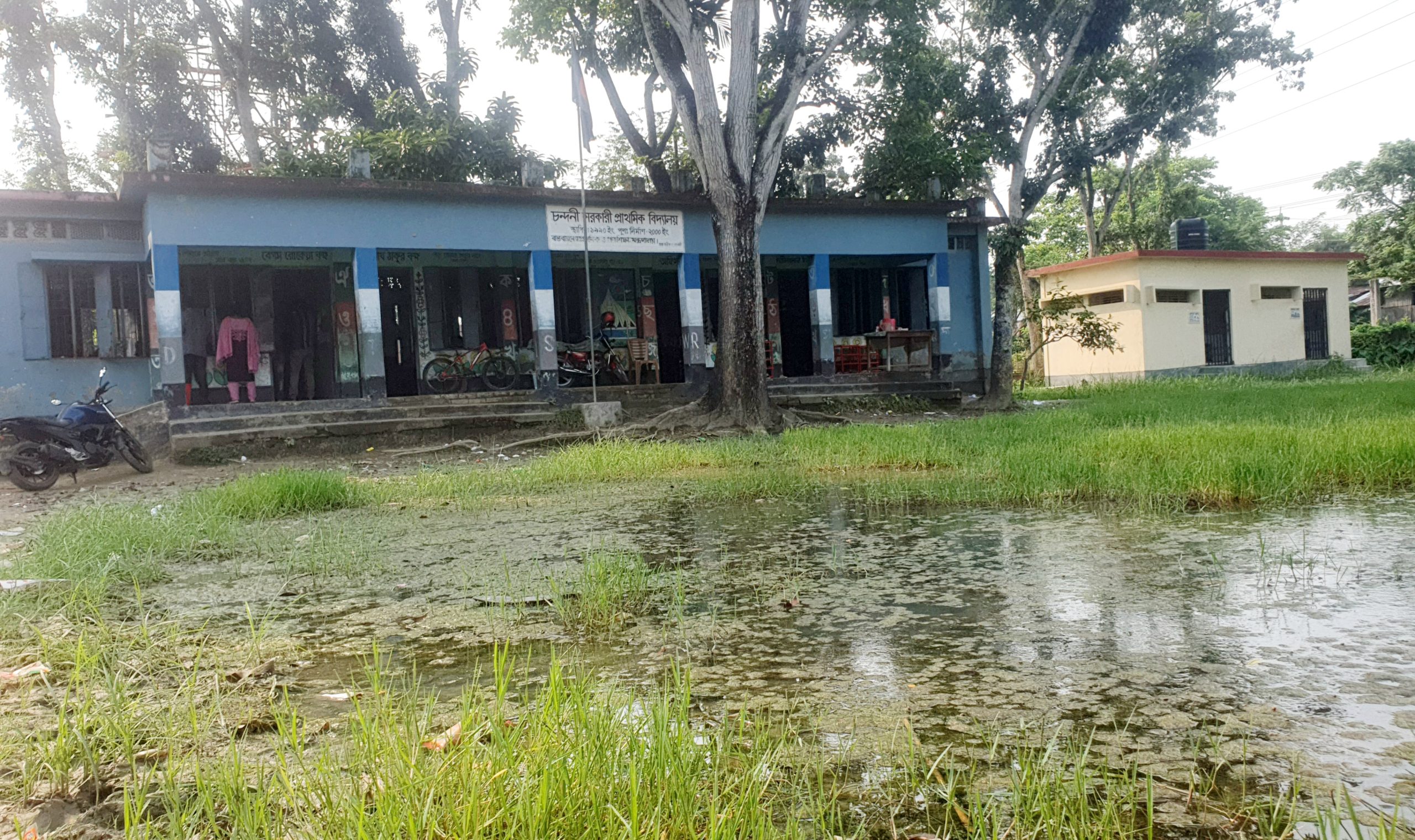 এক মাস ধরে পানির নিচে চন্দনী সরকারি প্রাথমিক বিদ্যালয়ের মাঠ