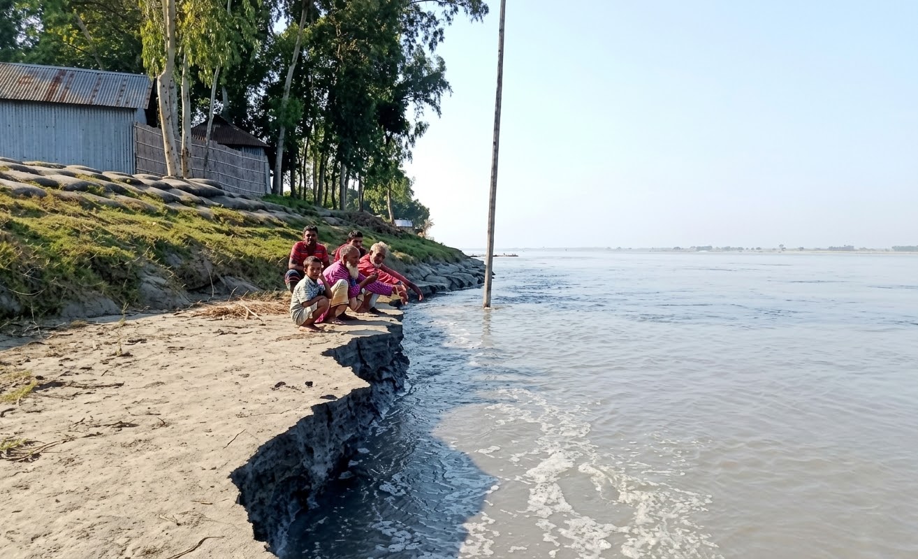 উলিপুরে তিস্তার ভাঙনে বিলীন হচ্ছে ফসলি জমি, নিরুপায় পাড়ের মানুষ