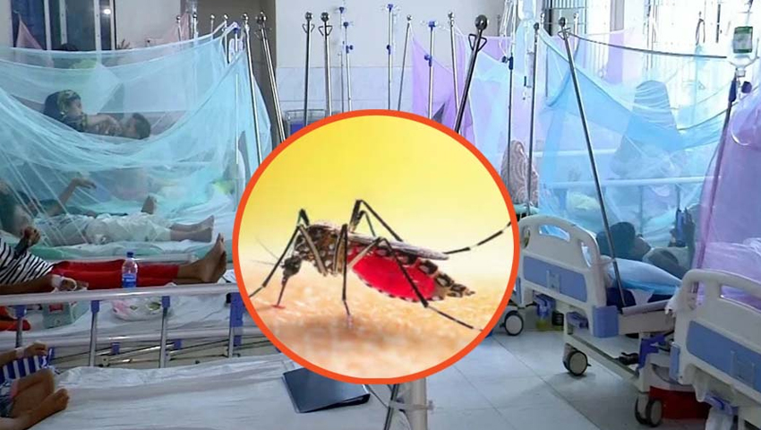 ডেঙ্গুতে আরও ৬ জনের মৃত্যু, হাসপাতালে ভর্তি ১৮৮৬